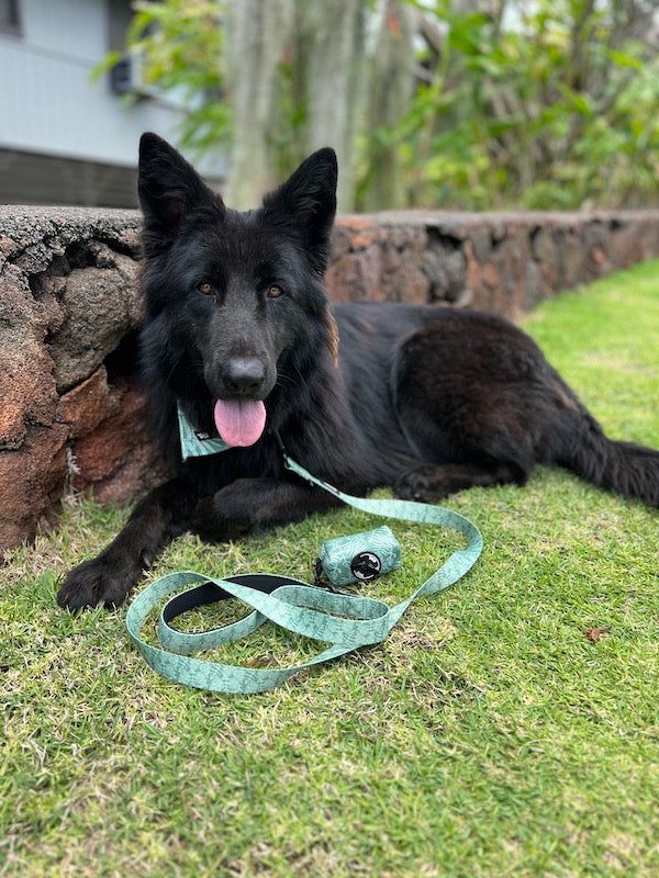 hauoli german shepherd green neke set