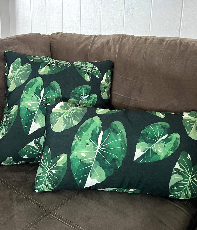 elepaio hakea pillowcases on couch